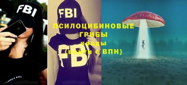 твердый Каменногорск