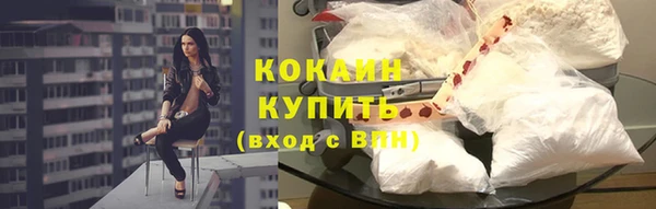 винт Каменка