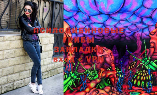винт Каменка
