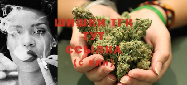 винт Каменка